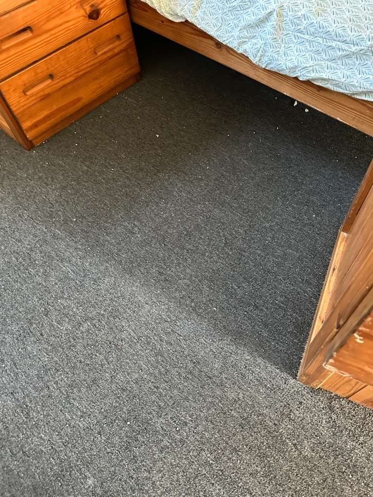 Commercial cleaning project